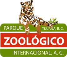 zoologico